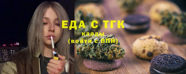 индика Бугульма